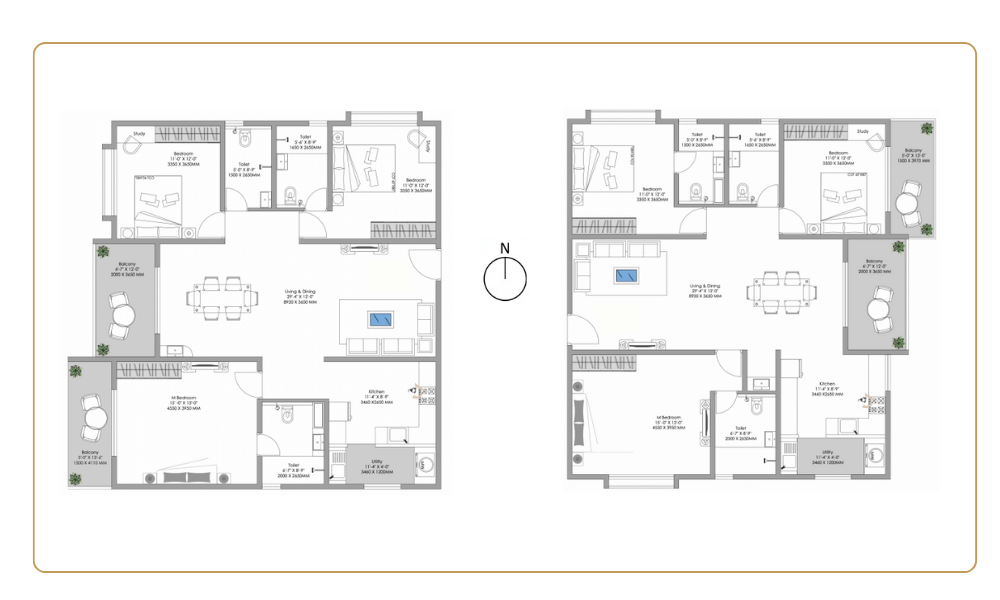 3B + 3T Unit Plan